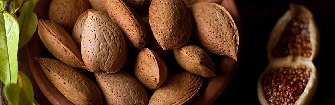 Ξηροί καρποί Καφεκοπτείο Ζαχαρώδη Μπαχαρικά Βότανα - toklasikon.gr